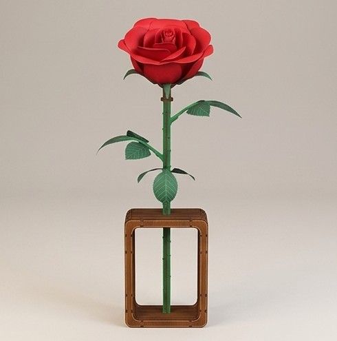 DIY Flora Series - Rose