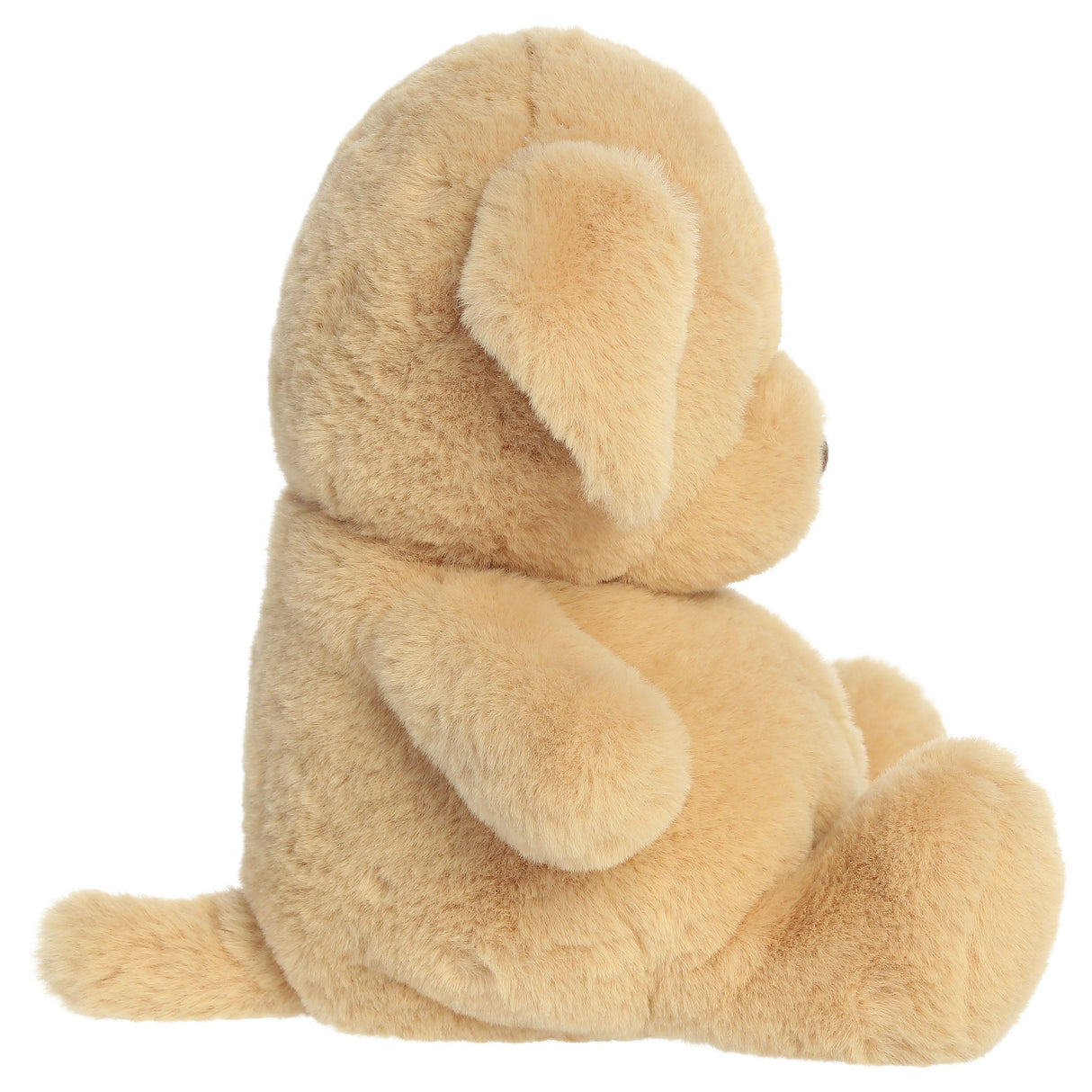 Dumplin' - Retriever 9 in