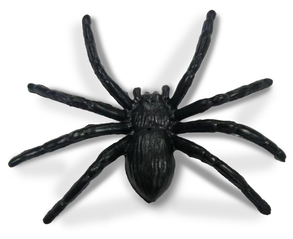 Willibed - 10 farces et attrapes