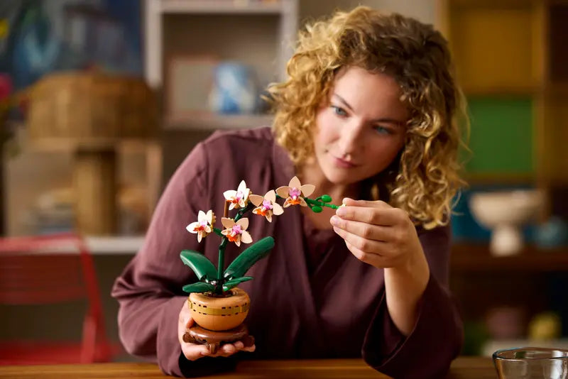 L'orchidée miniature - Botanical Collection