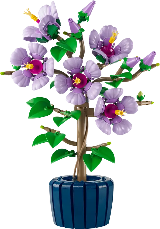 L’hibiscus - Botanical Collection