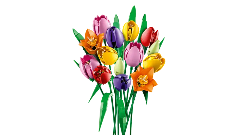 Le bouquet de tulipes - Botanical Collection