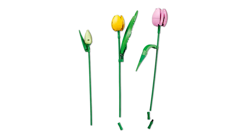 Le bouquet de tulipes - Botanical Collection