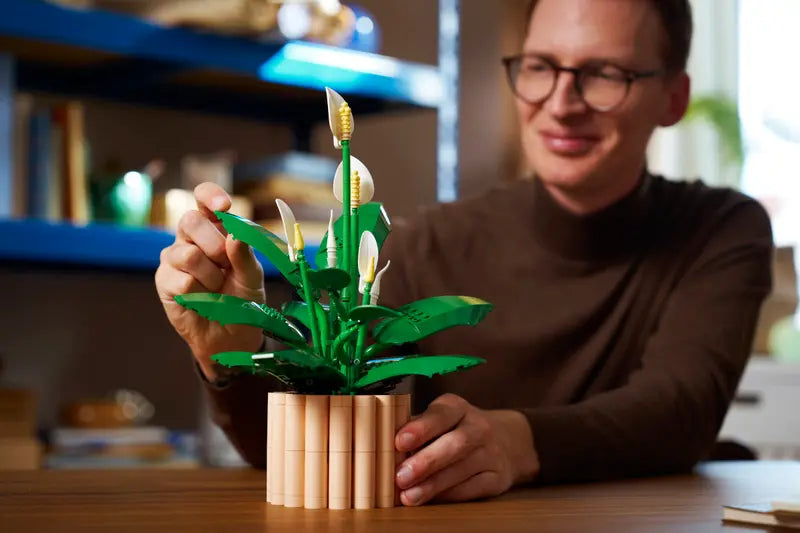 Peace Lily - Botanical Collection