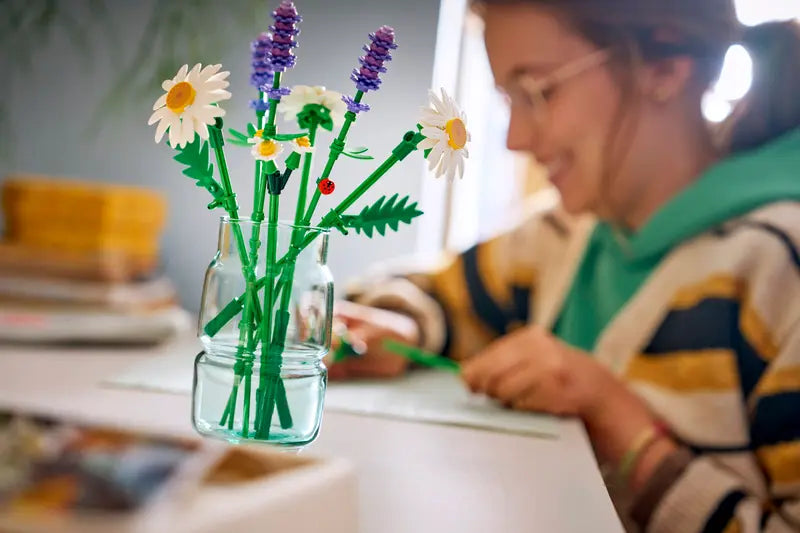 Daisies - Botanical Collection