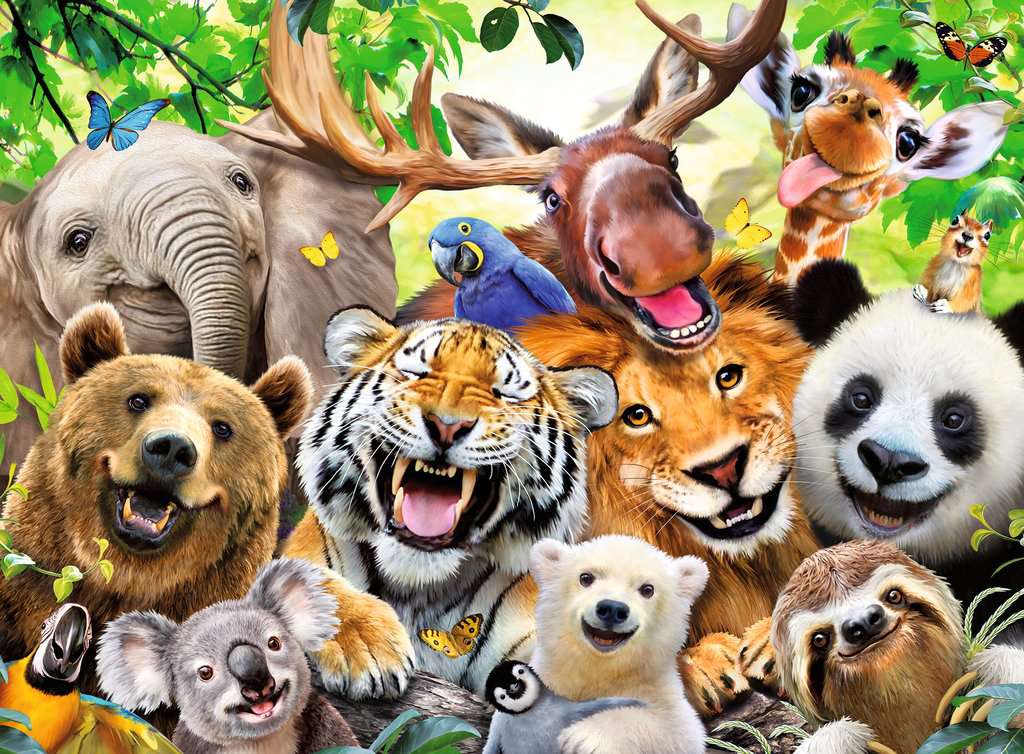 Selfie des animaux sauvages - 300 mcx XXL