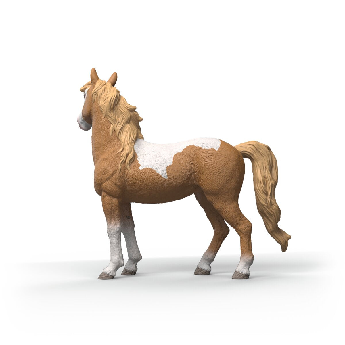 Jument Mustang