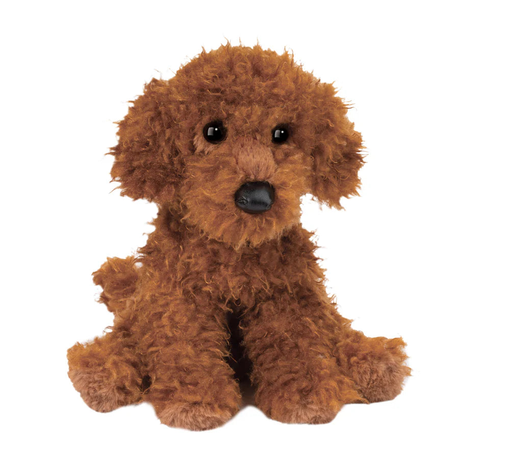 Ginger le poodle miniature