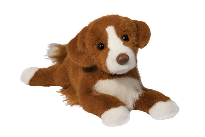 Rush le Retriever de la Nouvelle-Écosse