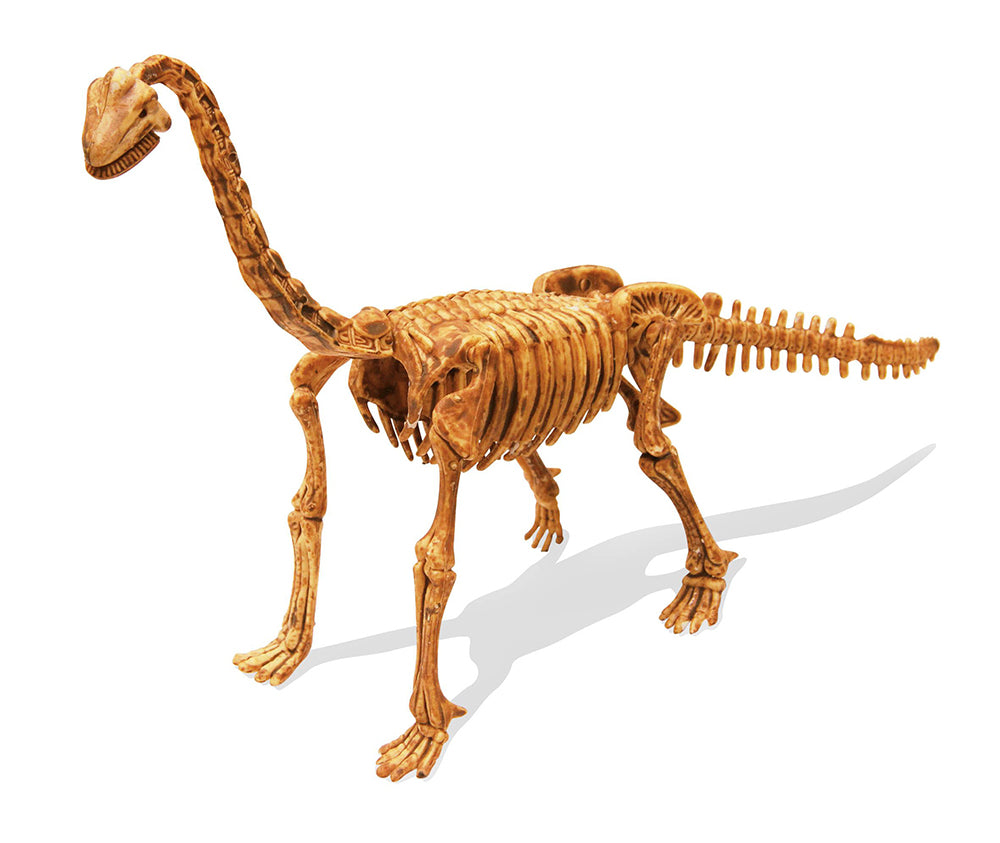 Buki Dino Kit - Brachiosaurus