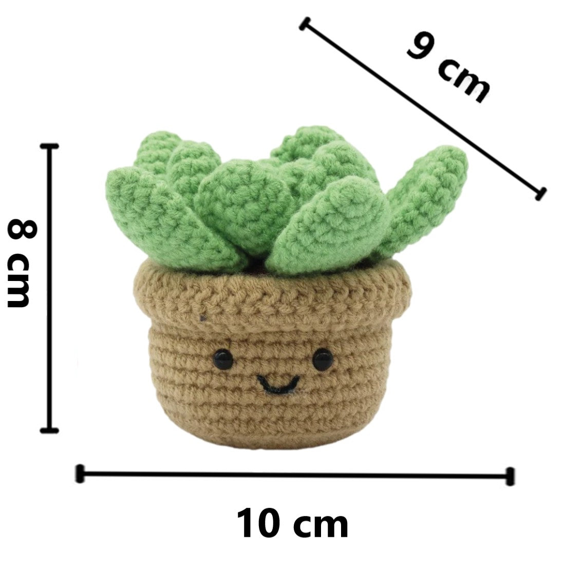 Kit DIY crochet - Succulente (Bil)