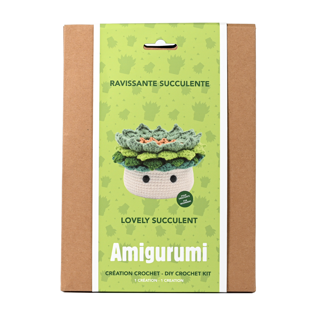 Kit DIY crochet - Ravissante succulente (Bil)