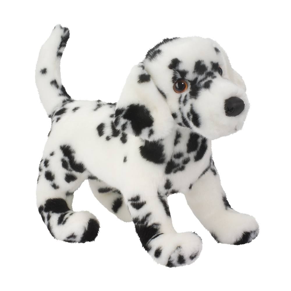 Winston le Dalmatien