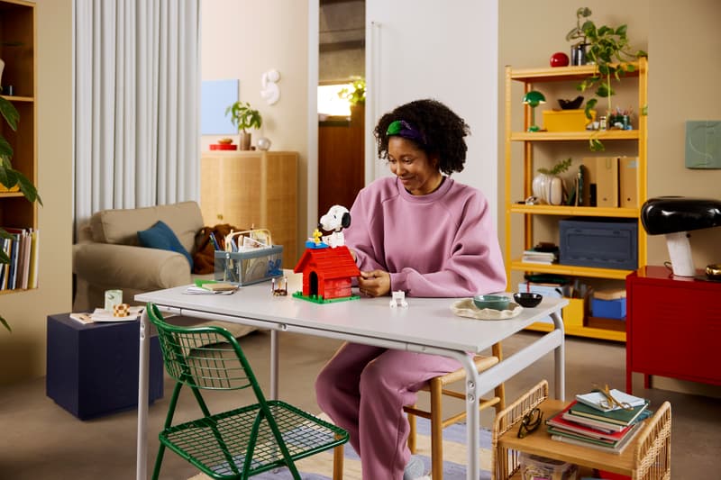 Peanuts : La niche de Snoopy - Icons