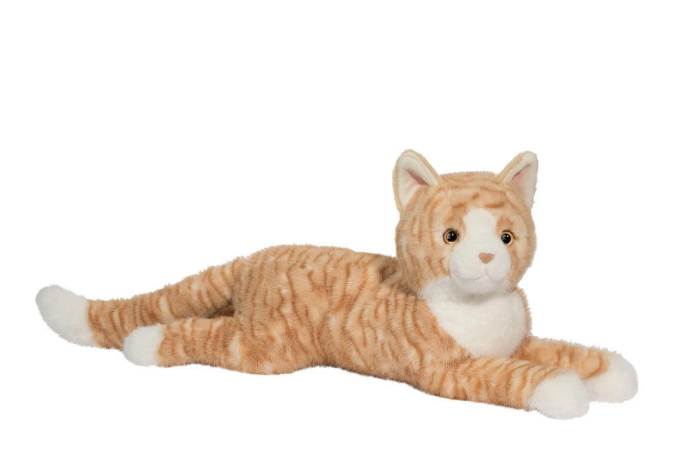 Schnookie le chat rayé