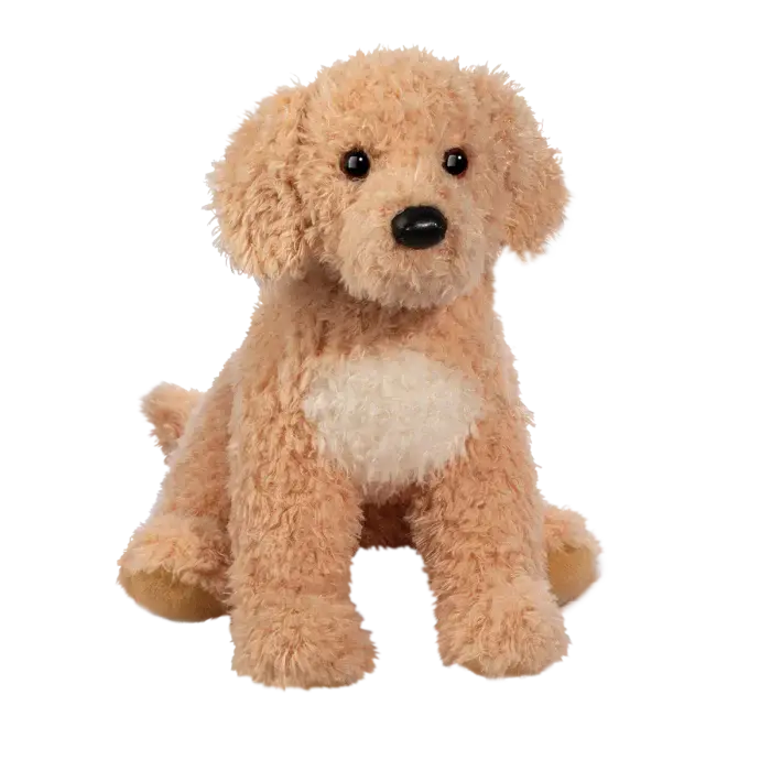 Noodle le Goldendoodle géant