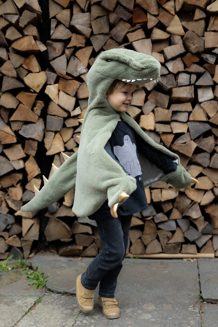Green T-Rex Cape