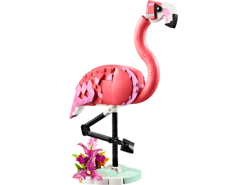 Les animaux sauvages : Le flamant rose - Creator 3 en 1