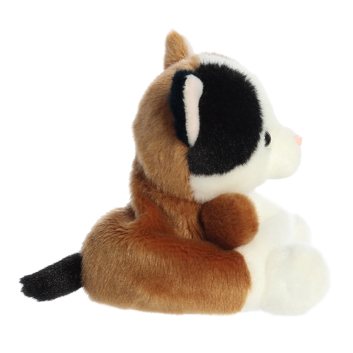 Palm Pals - Peebs le chat calico - 5 po