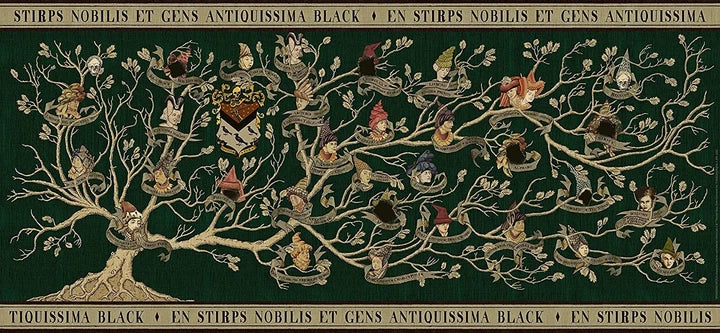 Arbre généalogique - Harry Potter - 2000 mcx