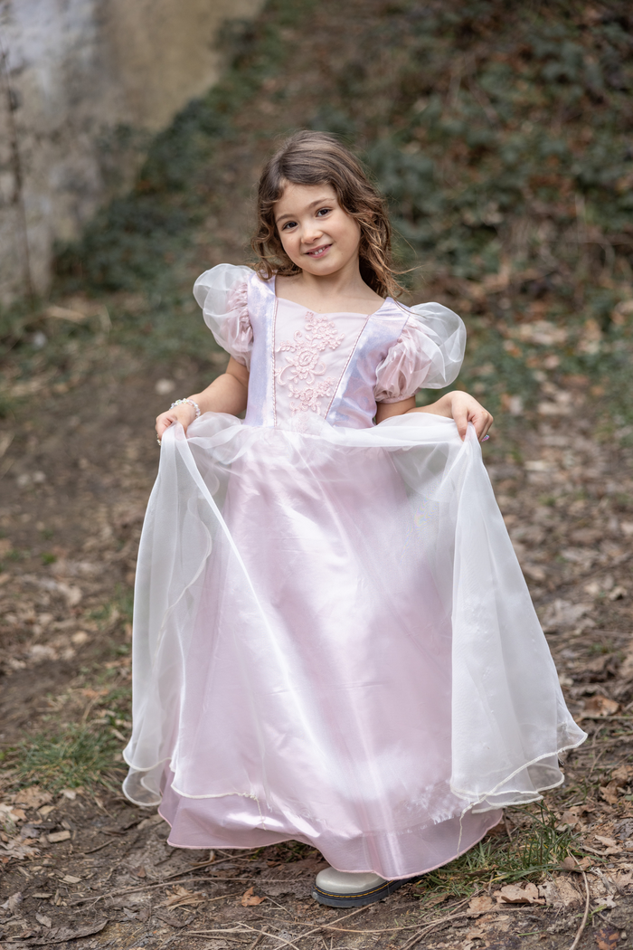 Robe de Princesse Platine