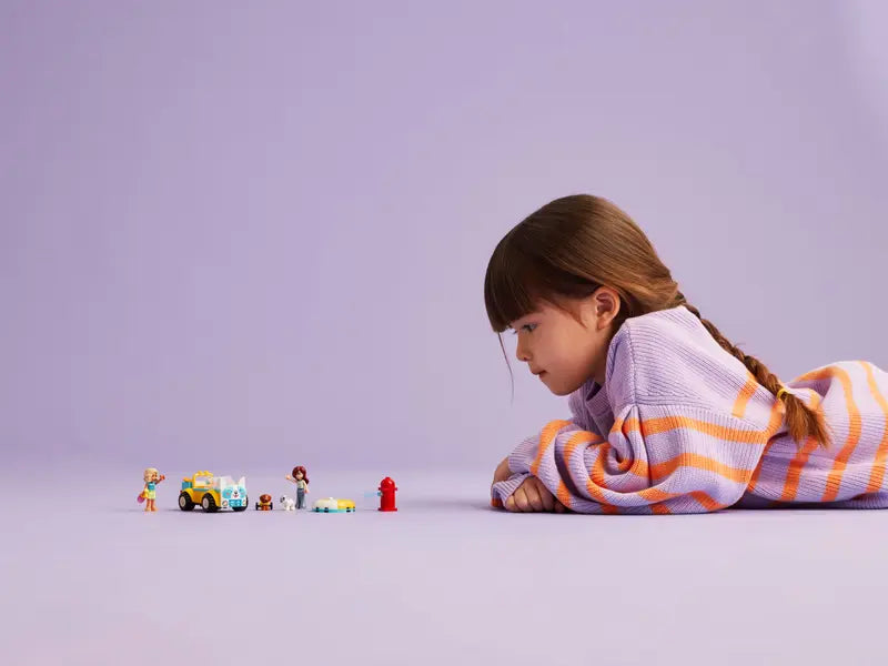 La voiture de toilettage de chien - Friends