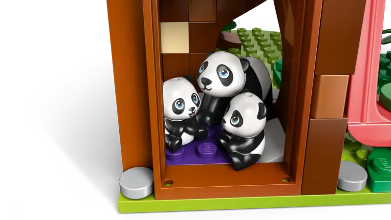 Les soins animaliers au sanctuaire des pandas - Friends