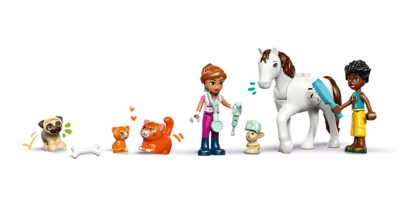 La clinique vétérinaire des animaux - Friends