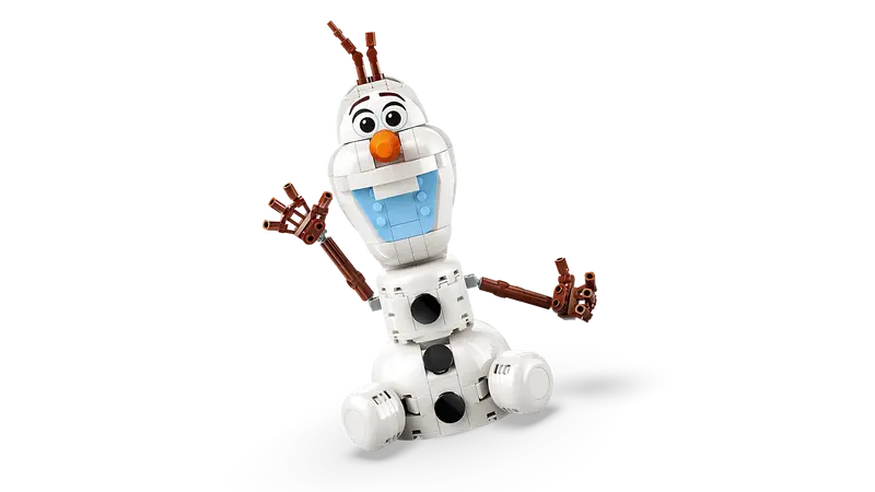 Le pique-nique amusant d’Olaf et Bruni - Disney