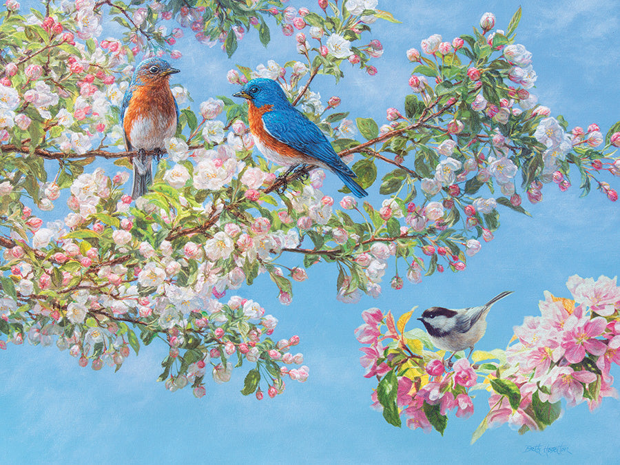 Blossom Festival - 275 mcx Large