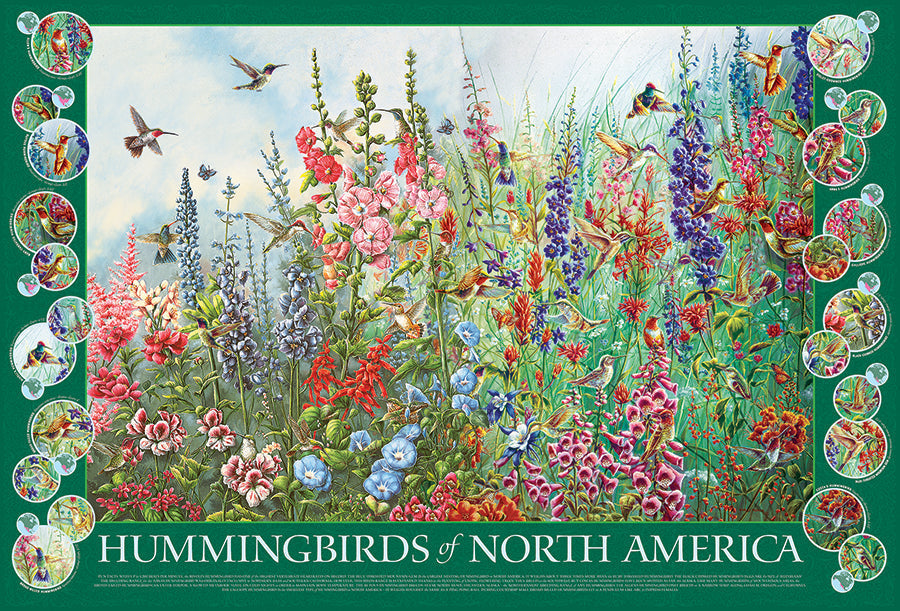 Hummingbirds of North America - 2000 mcx