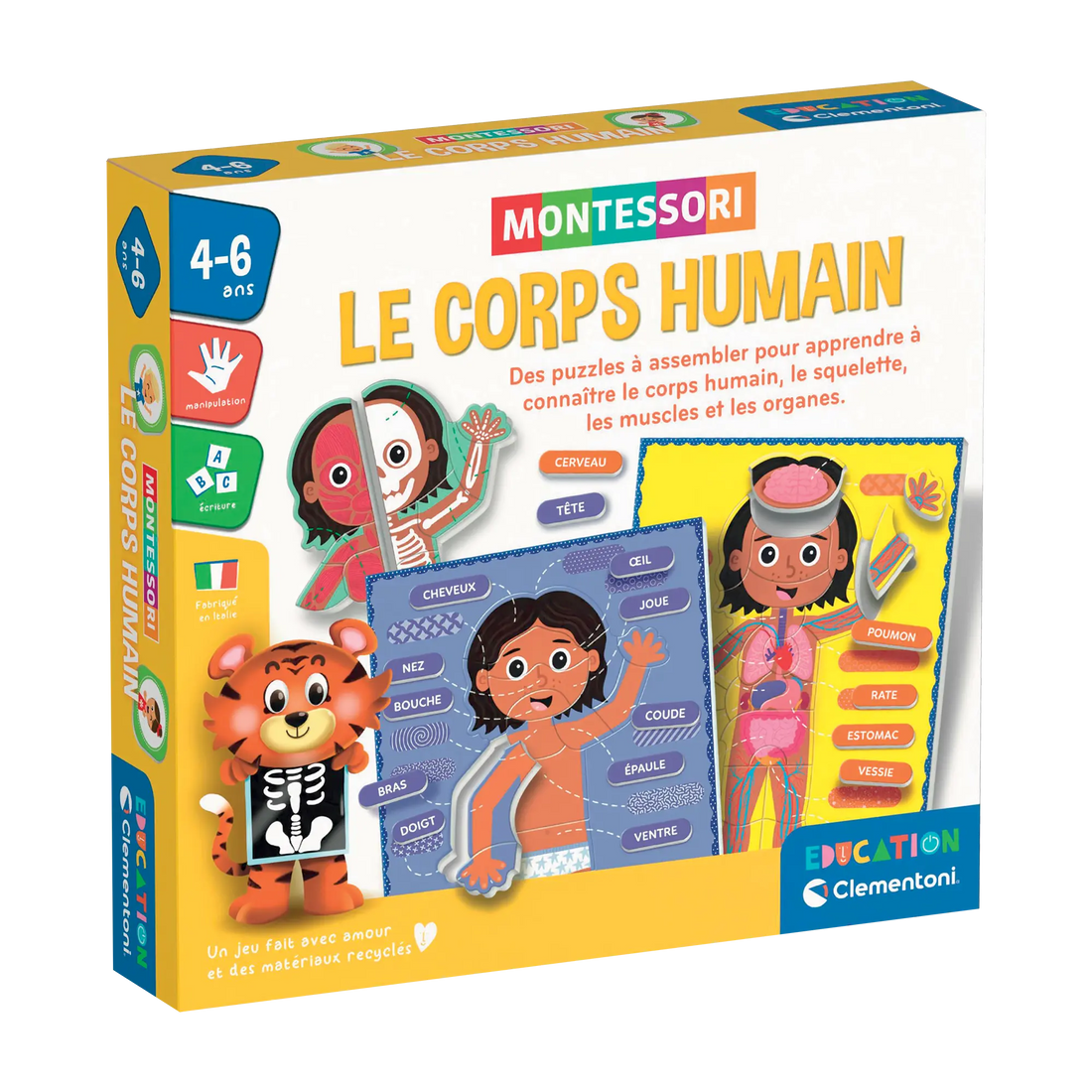 Le corps humain - Clementoni Education (Fr)