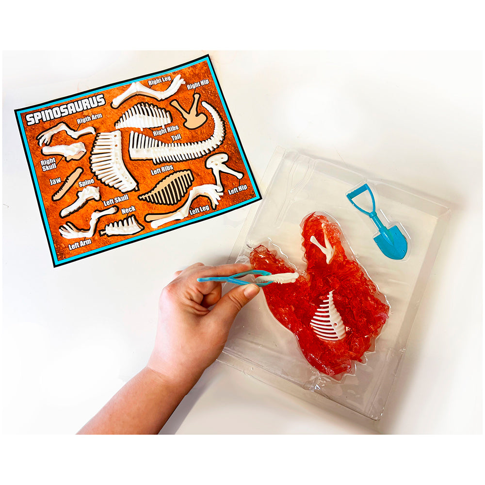 Dissect It - Dinosaure