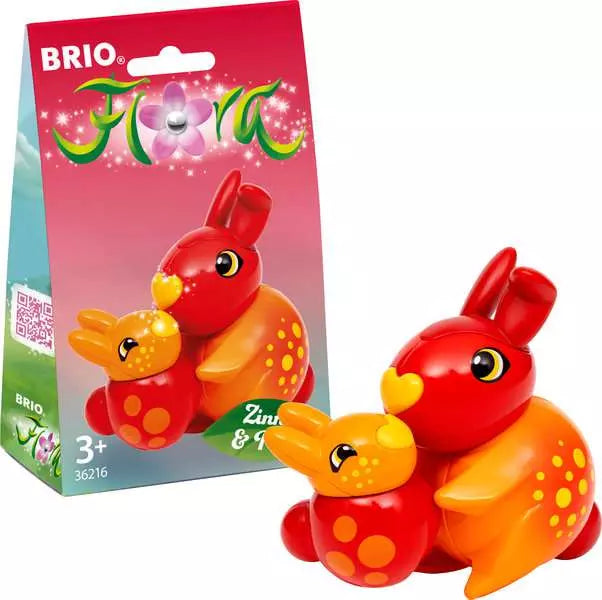 Zinnia et Peach - Brio Flora