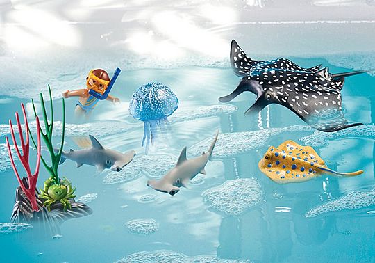 Coral Reef Exploration - Wiltopia