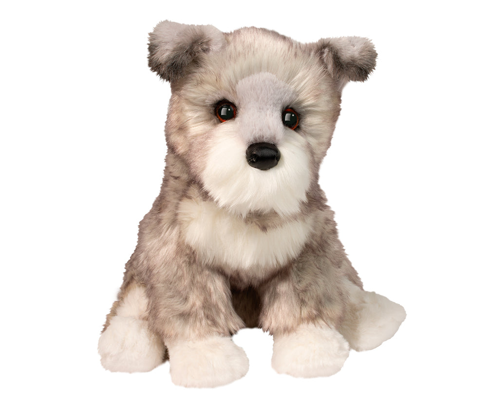 Arnold le Schnauzer miniature