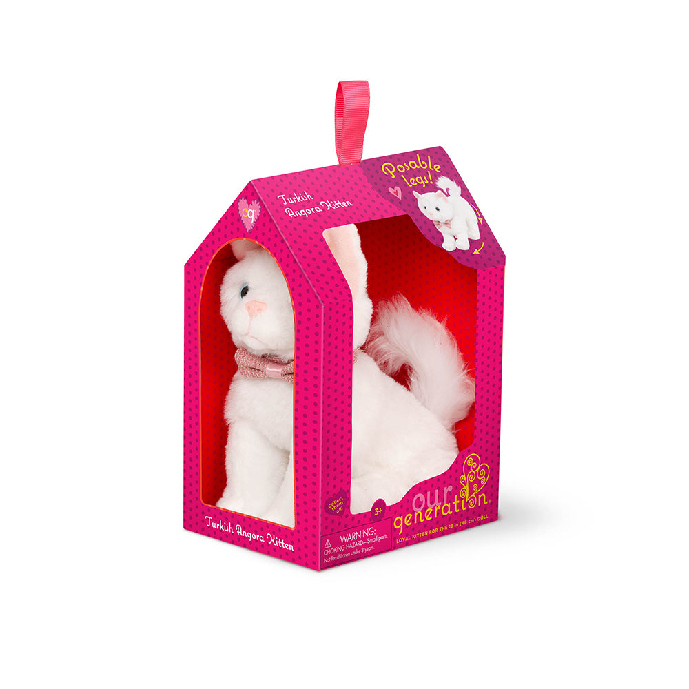 Chaton OG - Angora turc