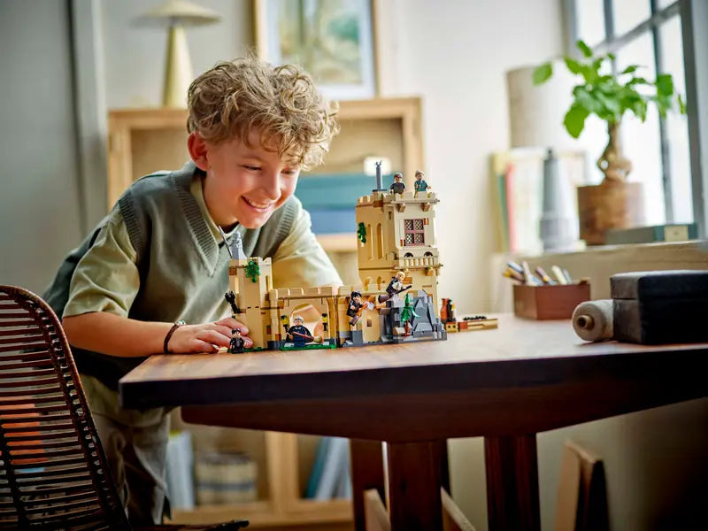 Le château de Poudlard : les leçons de vol - Harry Potter