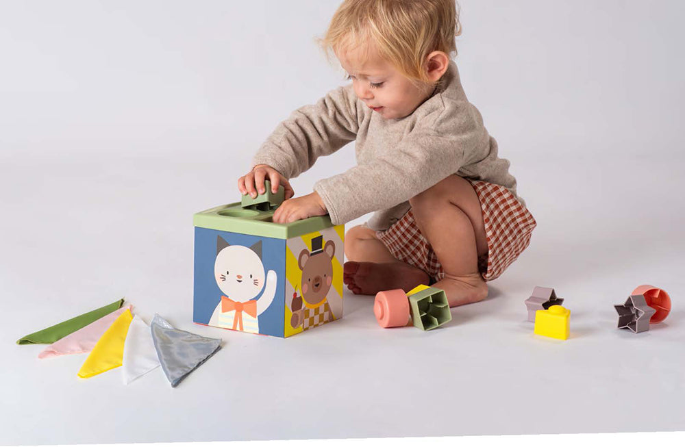 Taf Toys - Multi-Activity Box