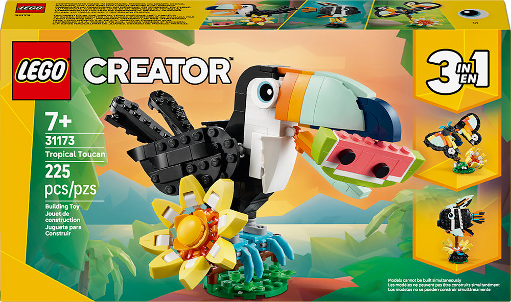 Les animaux sauvages : le toucan tropical - Creator