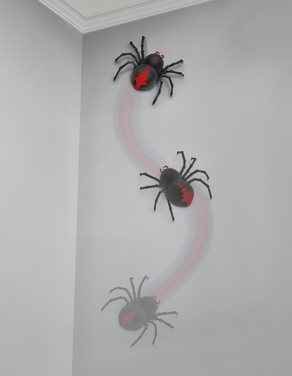 Terra - Remote Control Black Widow Spider