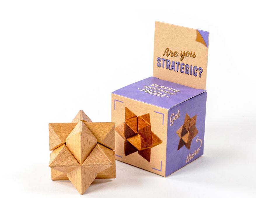 Wood and Metal Brainstorm Puzzle