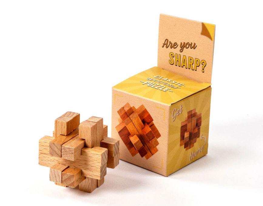 Wood and Metal Brainstorm Puzzle