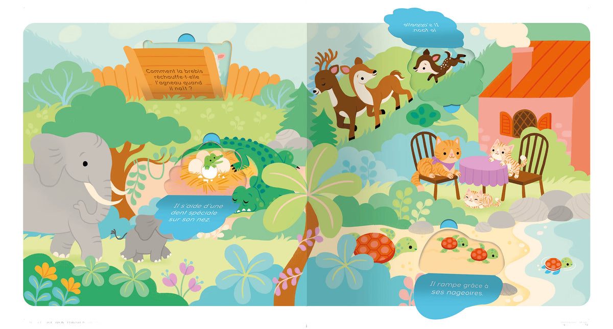 Livre - P'tit touche à tout - Les bébés animaux (Fr)