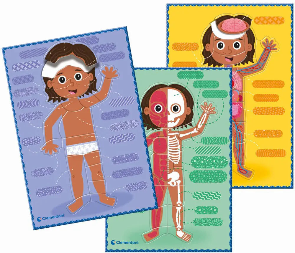 Le corps humain - Clementoni Education (Fr)