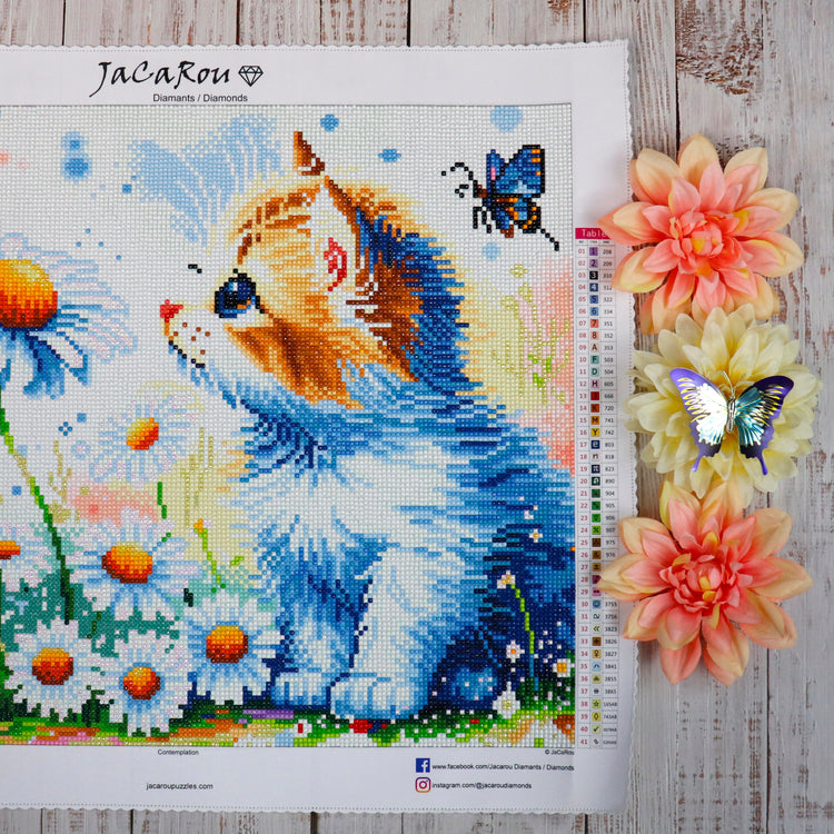 Broderie de diamant - Contemplation - 50 x 40 cm