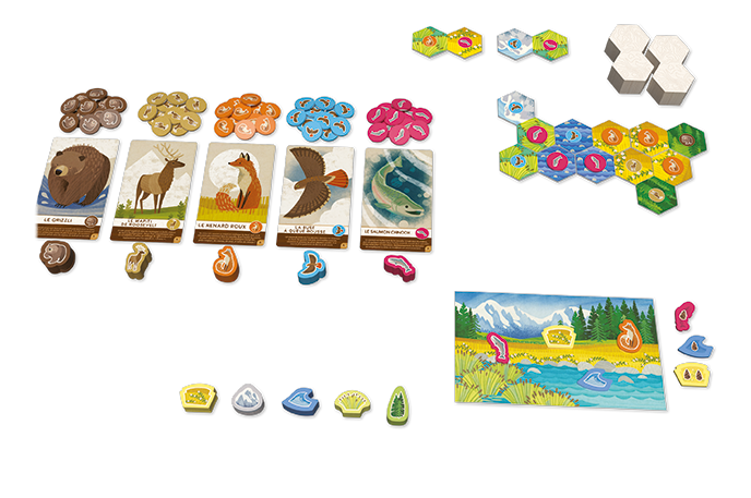 Cascadia Junior (Fr)