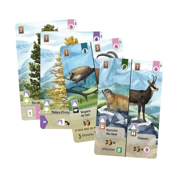 Forêt Mixte - Alpes (Ext) (Fr)