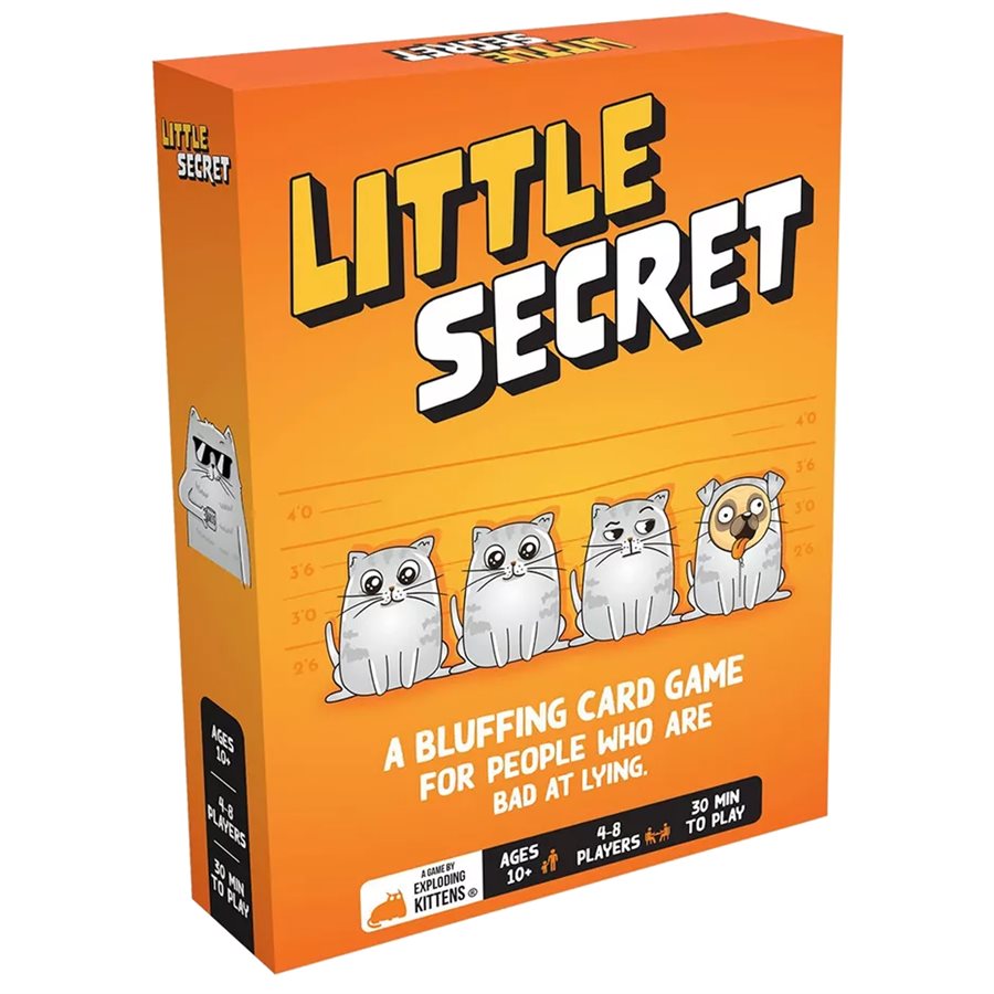 Little Secret (Ang)