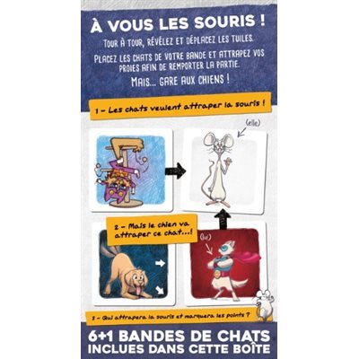 Chats de poche (Fr)